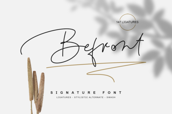 Befront Font: Elevate Your Campaign Visuals