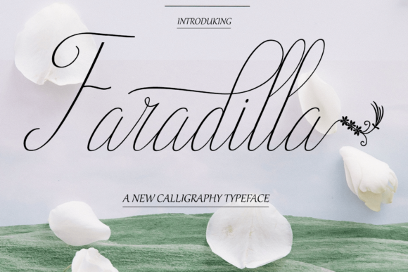 Faradilla: A Script Font for Elegant Web Design