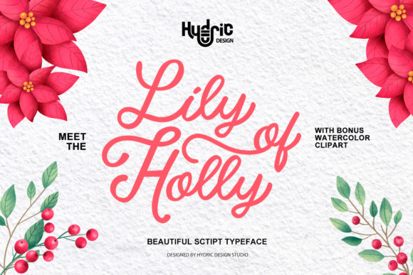 Lily of Holy: A Handwritten Font for Makers