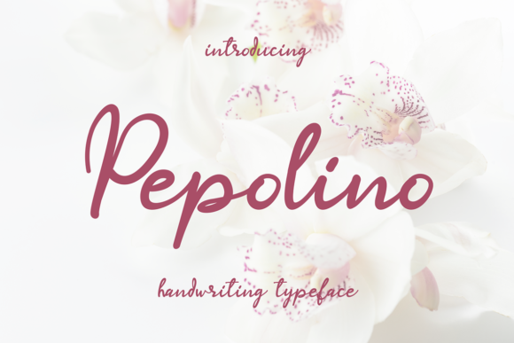 Pepolino Font Review: Elegant Script for Branding