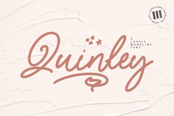 Quinley Font: Elegant Script for Makers