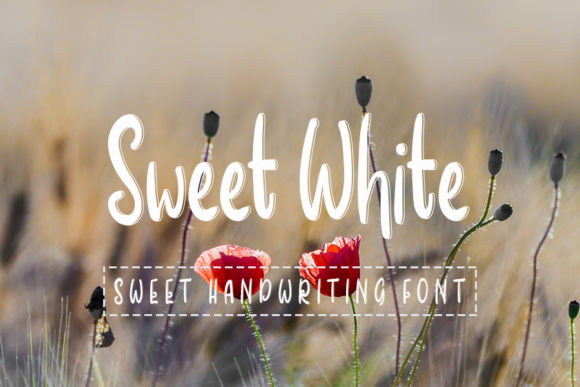 Sweet White: A Handwritten Typeface for Editorial Warmth